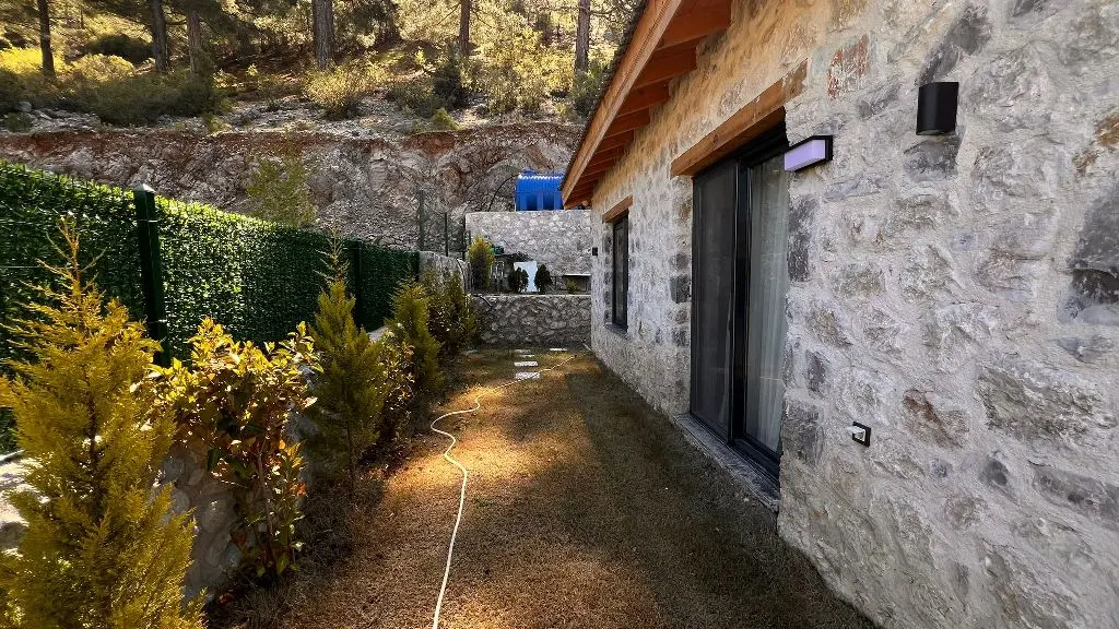 Mature garden